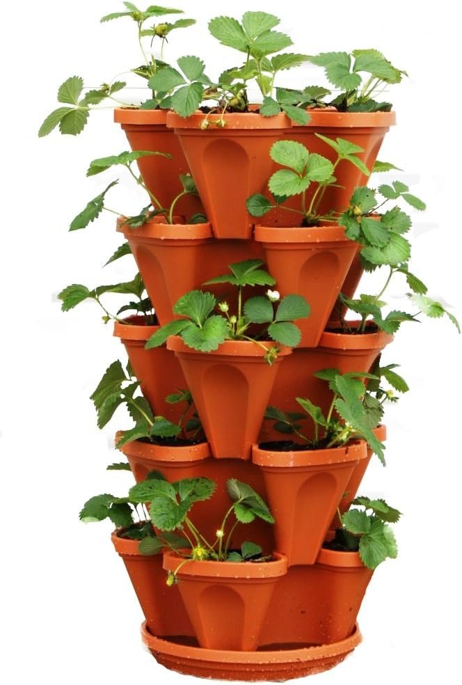 5 Tier Stackable Strawberry, Herb, Flower, and Vegetable Planter – Vertical Garden Indoor/Outdoor